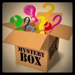 Mystery Box- 10 clothing items